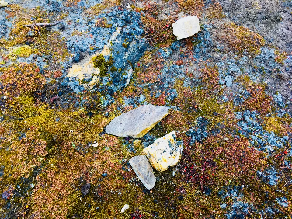 Photo of Roopkund Trail, Uttarakhand, India by Sreya Mantena