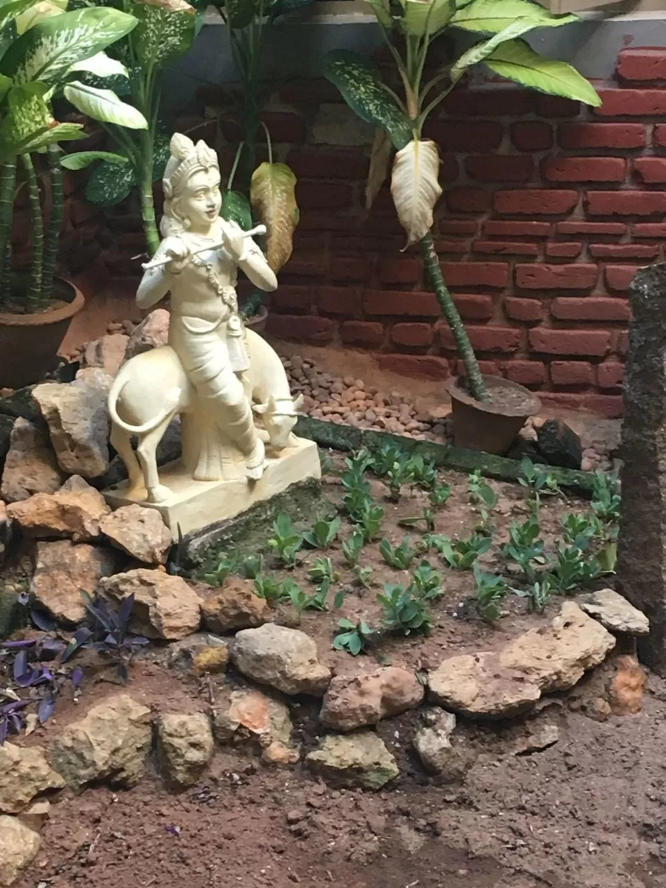 Photo of New Guest House Sri Aurobindo Ashram, Romain Rolland Street, White Town, Puducherry, India by Sreya Mantena