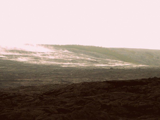 Photo of Big Island, United States by Sonia Revankar