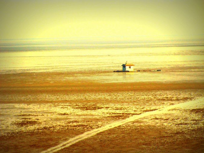 Photo of Rann of Kutch, Kutch, Gujarat, India by Sonia Revankar