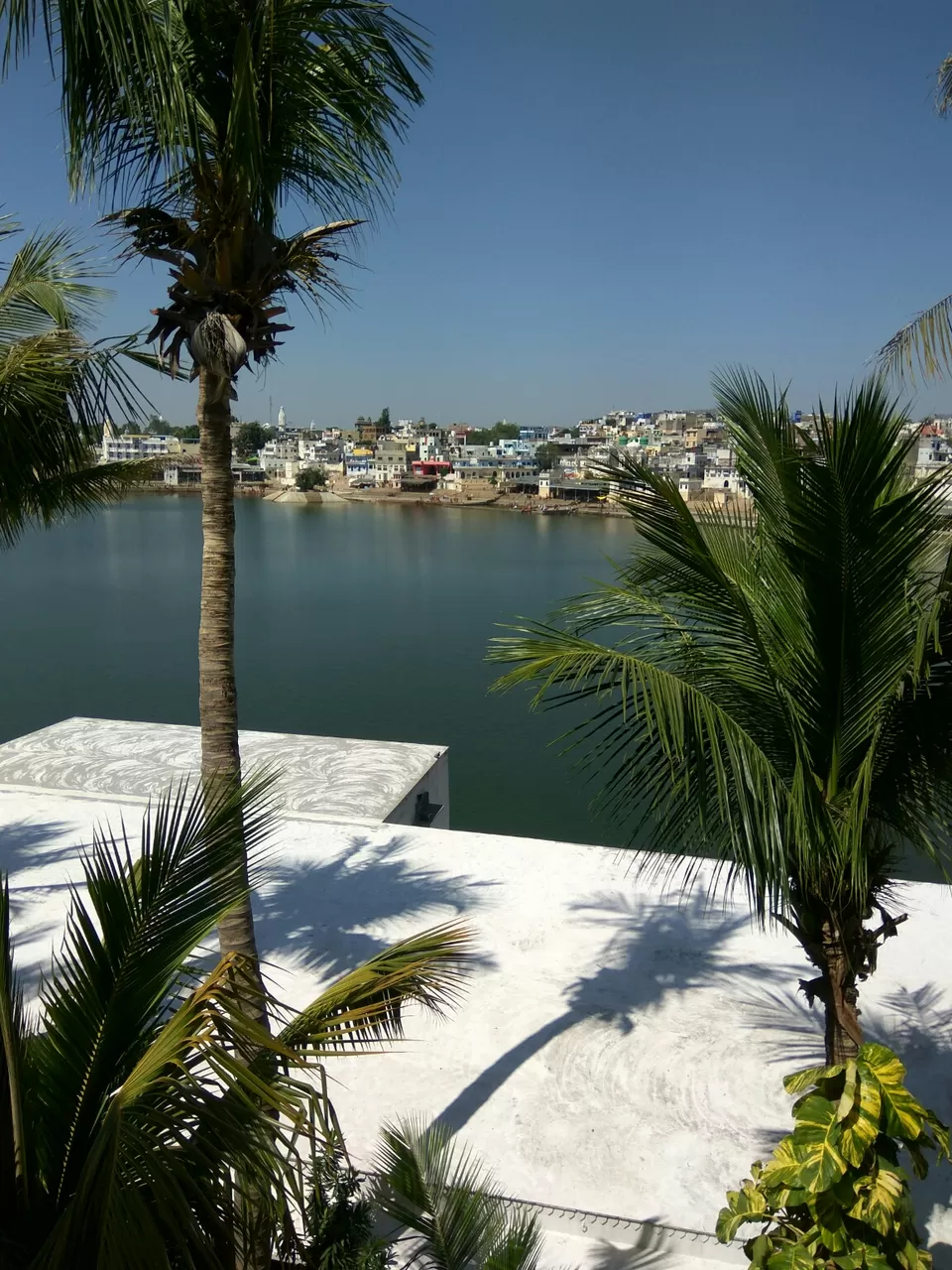 Photo of Pushkar Diaries by agransh anand