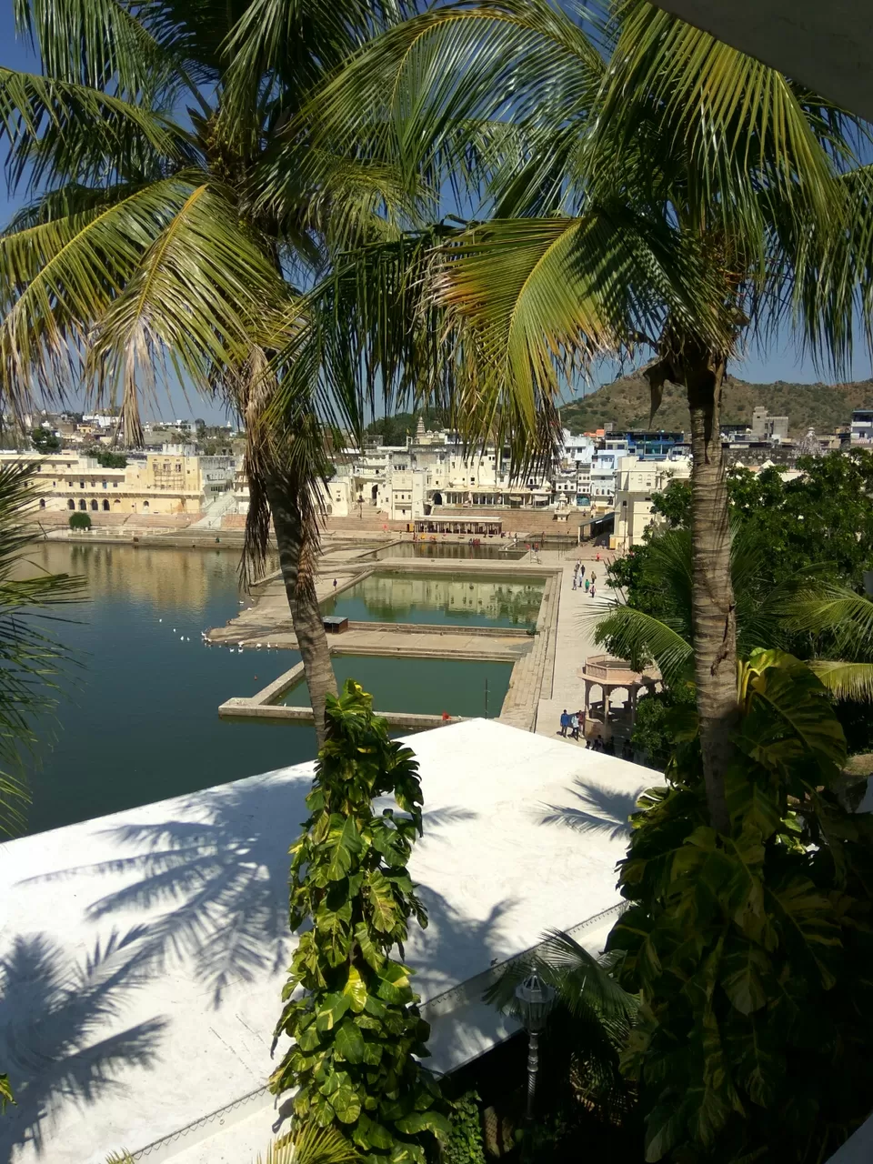 Photo of Pushkar Diaries by agransh anand