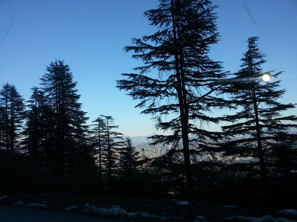 Photo of Christmas in Kufri for Nature Enthusiastic 2/3 by Rambling Passport