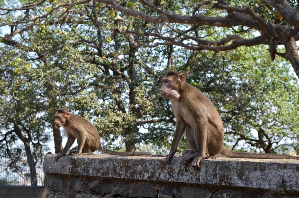 Photo of Tourist Attractions in Mumbai | Places to Visit in Mumbai 3/8 by Dolesh Agrawal