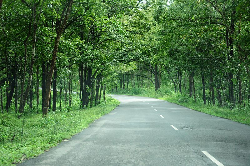 Photo of 5 Holiday destinations to escape the crowd this New Year 1/3 by Bank Bazaar