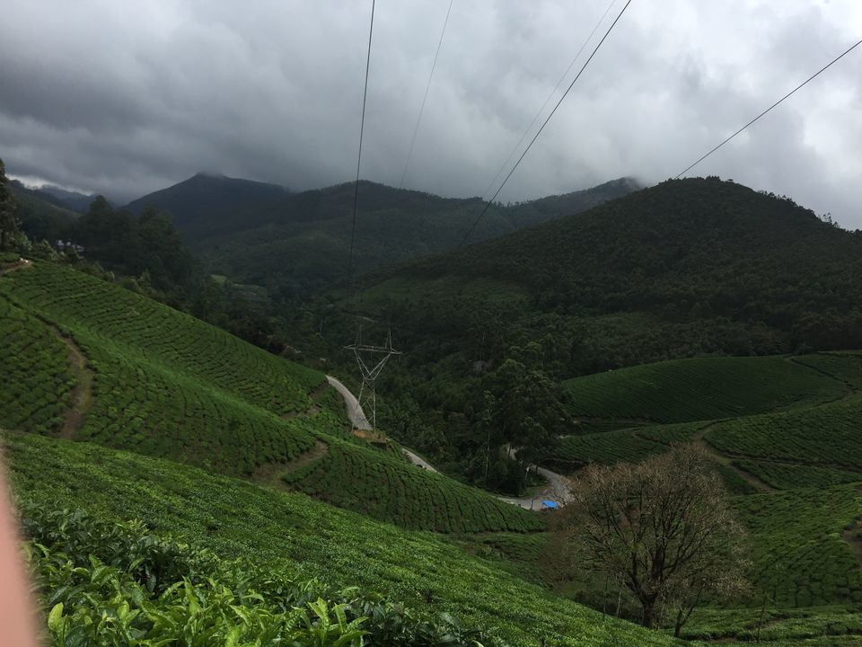 Photo of Eravikulam National Park, Kerala, India by Samarpita Chowdhury