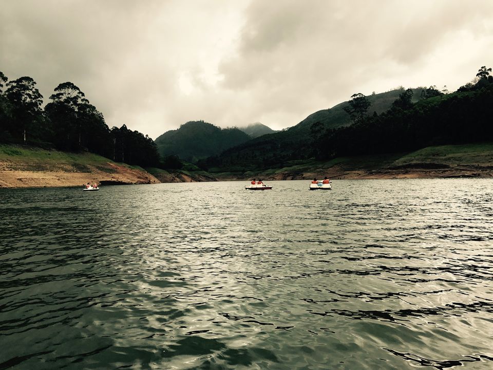 Photo of Mattupetty, Munnar, Kerala, India by Samarpita Chowdhury