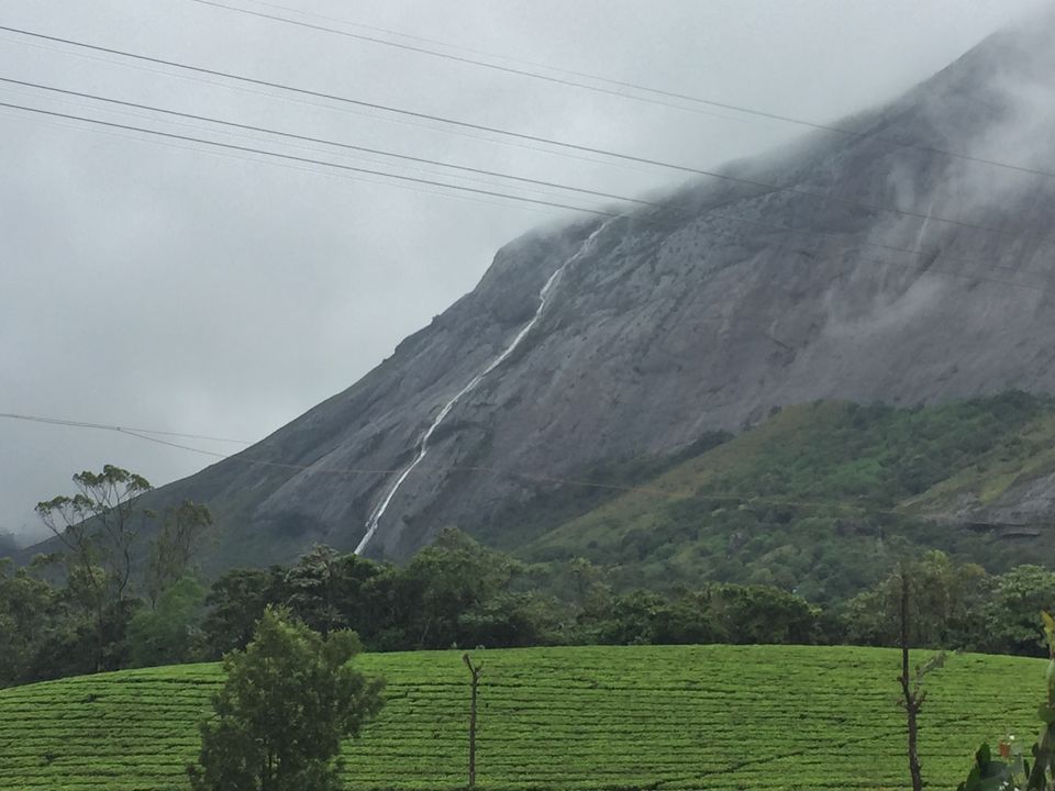 Photo of Eravikulam National Park, Kerala, India by Samarpita Chowdhury