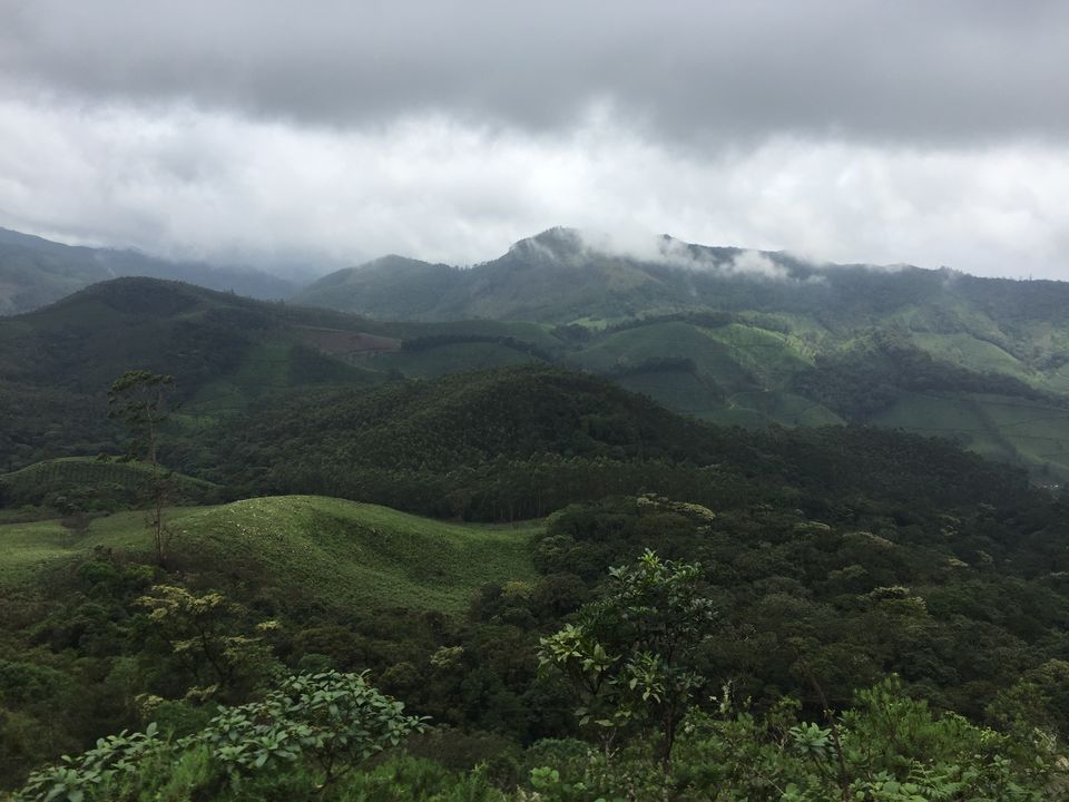 Photo of Eravikulam National Park, Kerala, India by Samarpita Chowdhury