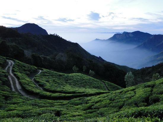 Photo of Top Station, Munnar - Top Station Highway, Silent Valley, Munnar, Kerala, India by Samarpita Chowdhury