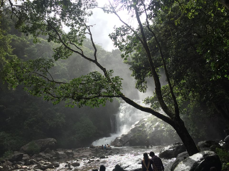 Photo of Munnar, Kerala, India by Samarpita Chowdhury