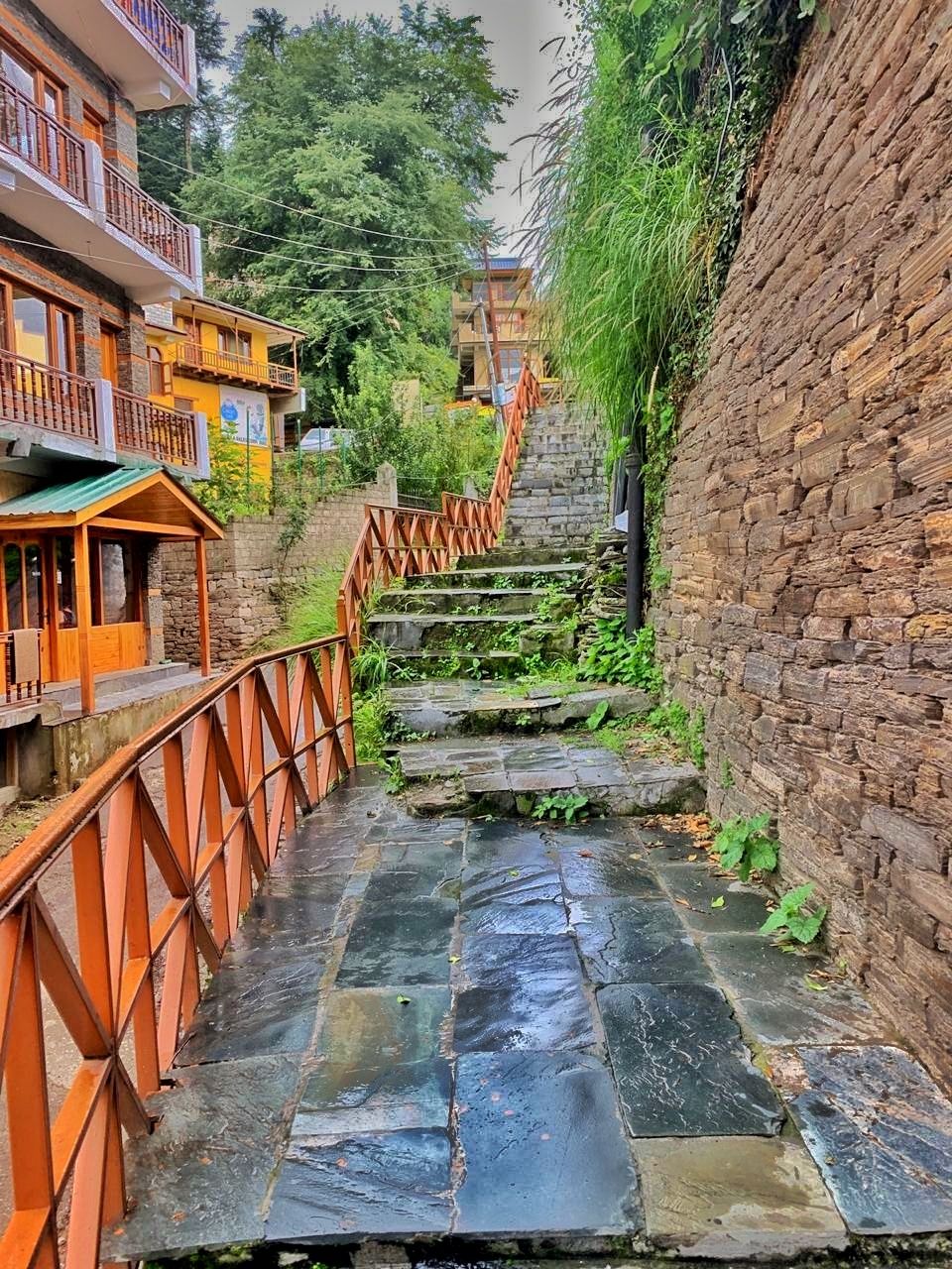 Photo of Manali, Himachal Pradesh, India by Manpreet Walia