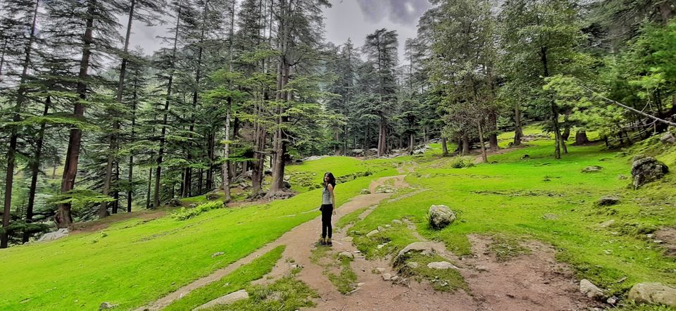Photo of Manali, Himachal Pradesh, India by Manpreet Walia
