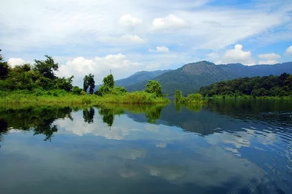 Photo of Chimmini Wildlife Sanctuary, Pariyaram, Kerala, India by Dhanya