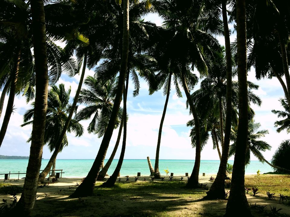 Photo of Havelock Island, South Andaman, Andaman and Nicobar Islands, India by 83Trips