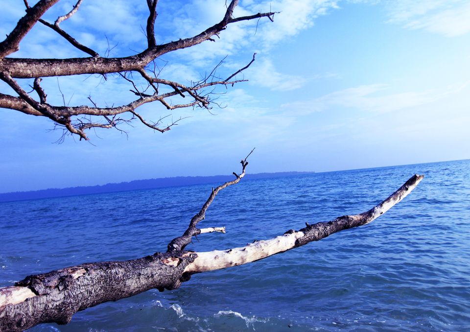 Photo of Havelock Island, South Andaman, Andaman and Nicobar Islands, India by 83Trips