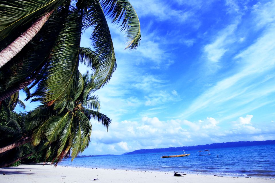 Photo of Havelock Island, South Andaman, Andaman and Nicobar Islands, India by 83Trips