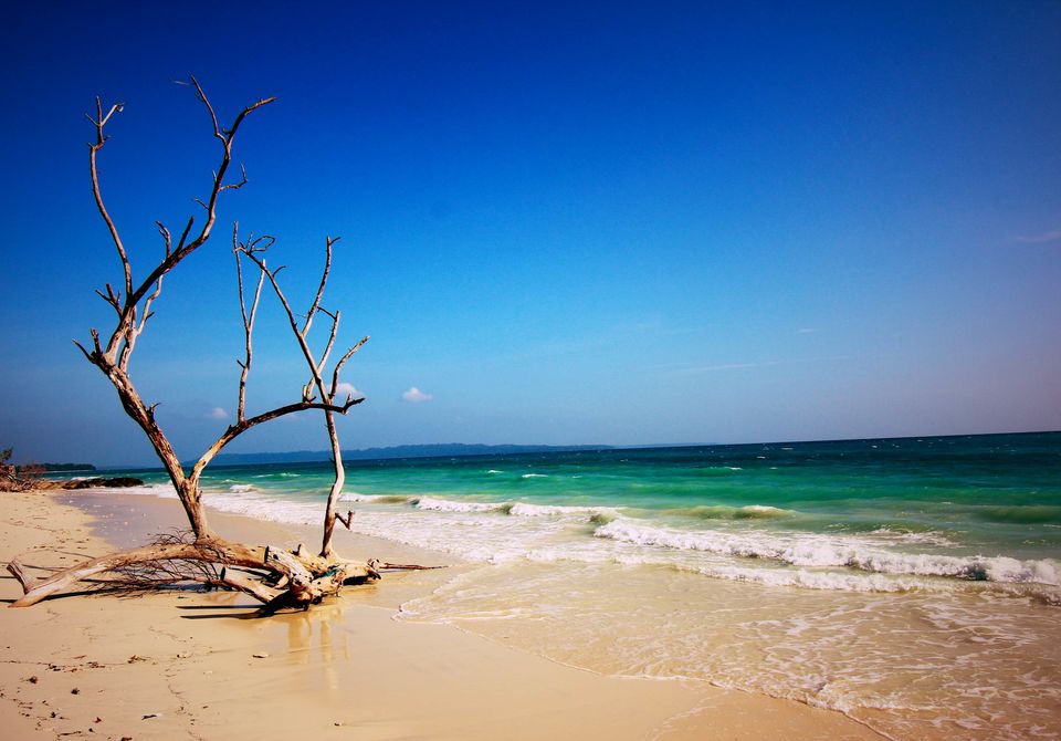 Photo of Havelock Island, South Andaman, Andaman and Nicobar Islands, India by 83Trips