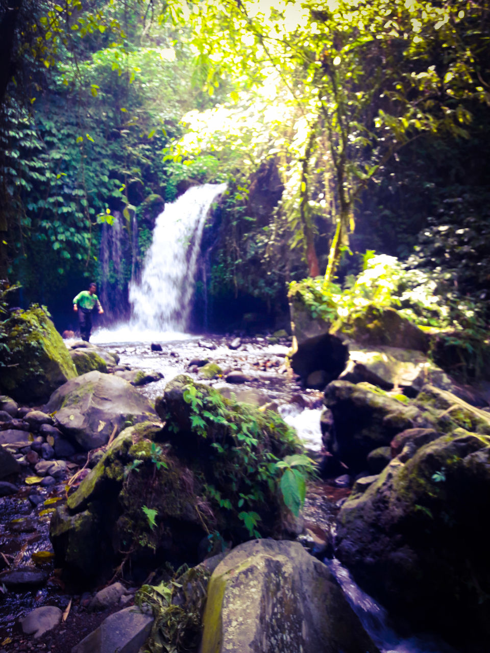 Photo of Jatiluwih, Tabanan Regency, Bali, Indonesia by Richa Devi