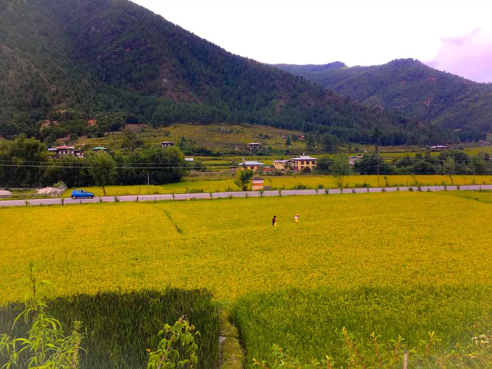 Photo of Ama's Farmstay- The Perfect Blend of Love, Hospitality and Tradition by Richa Devi