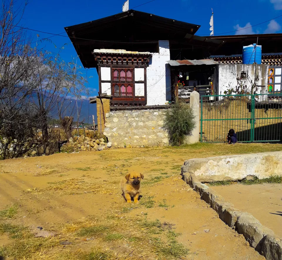 Photo of Ama's Farmstay- The Perfect Blend of Love, Hospitality and Tradition by Richa Devi