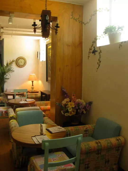 Photo of Willow Cafe, Azaadi Route, 10D, Chandigarh, India by Richa Devi