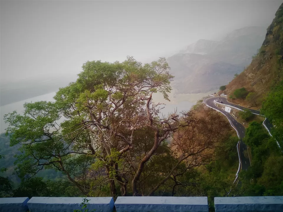 Photo of Valparai-A Roadtrip To One Of The Lesser Known Hill Stations You Must Take This New Year by Richa Devi