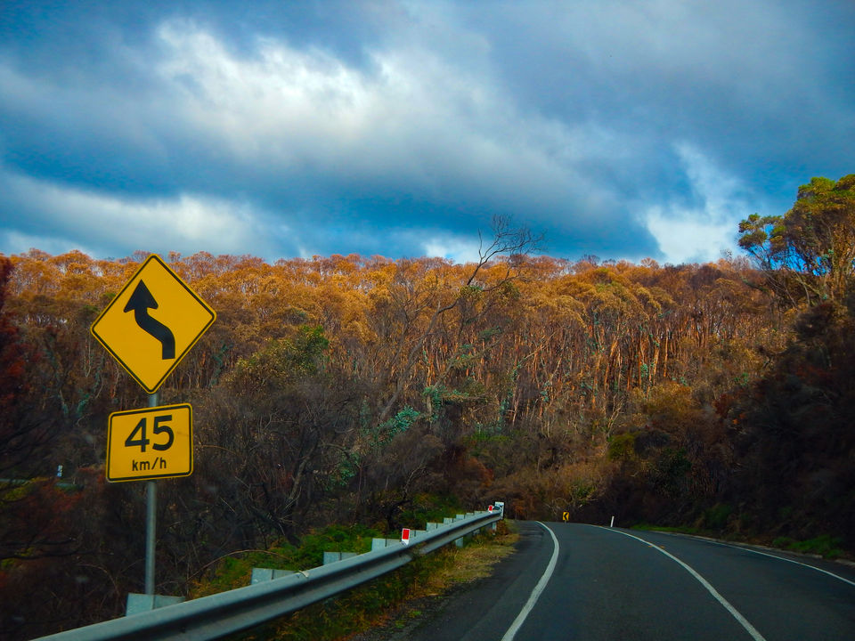 Photo of Surf Towns, A Haunted Lighthouse And The Hidden Coves-A Laidback Roadtrip On The Great Ocean Road! by Richa Devi