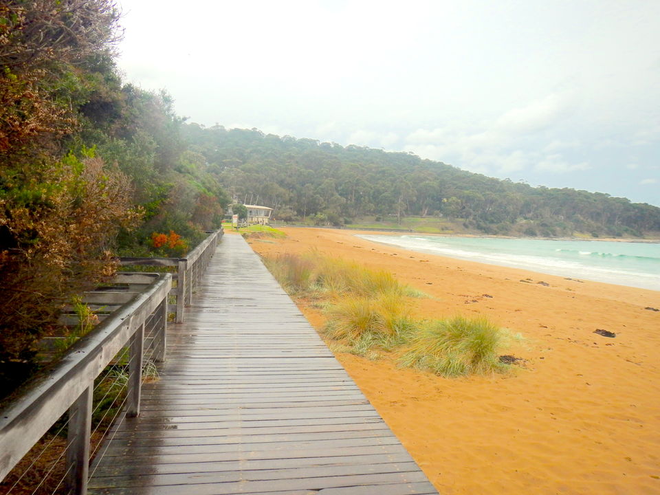 Photo of Surf Towns, A Haunted Lighthouse And The Hidden Coves-A Laidback Roadtrip On The Great Ocean Road! 12/17 by Richa Devi