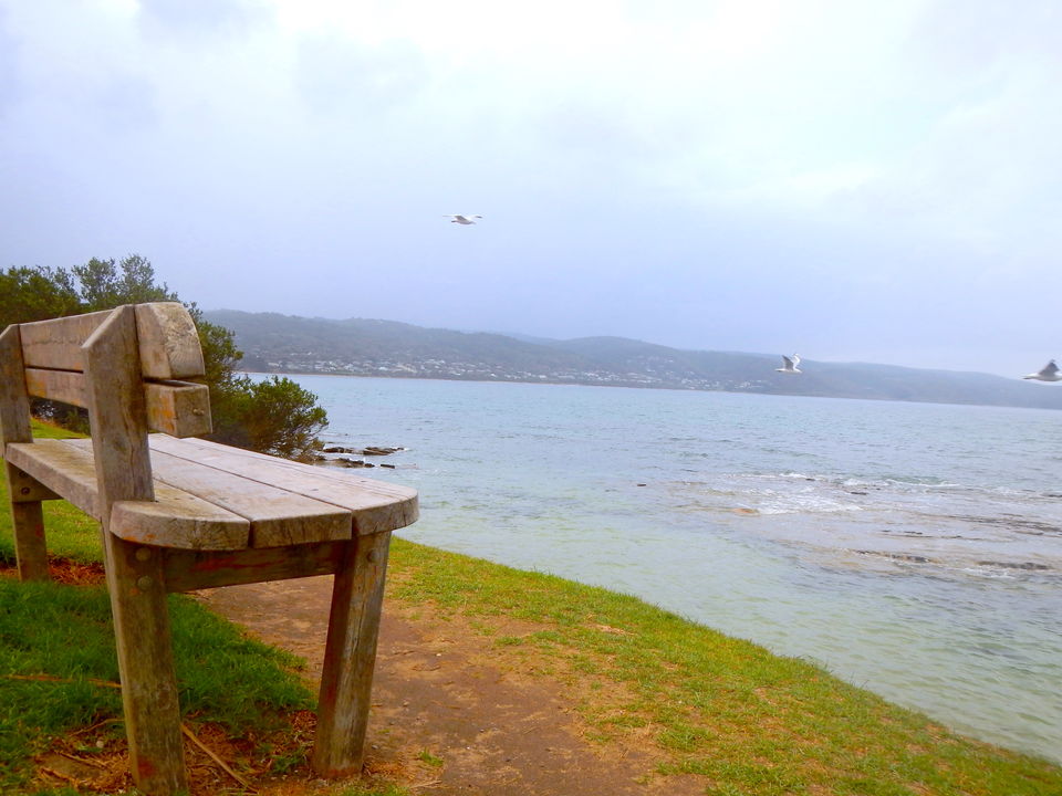 Photo of Surf Towns, A Haunted Lighthouse And The Hidden Coves-A Laidback Roadtrip On The Great Ocean Road! 15/17 by Richa Devi