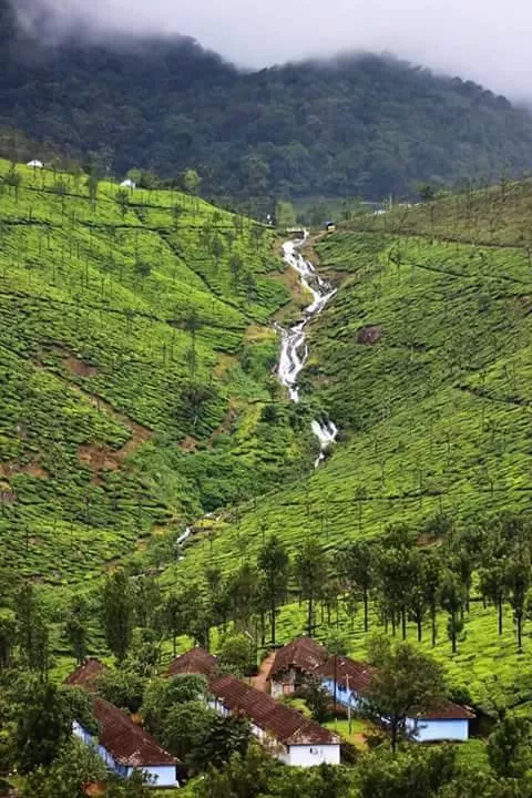 Photo of Valparai-A Roadtrip To One Of The Lesser Known Hill Stations You Must Take This New Year by Richa Devi