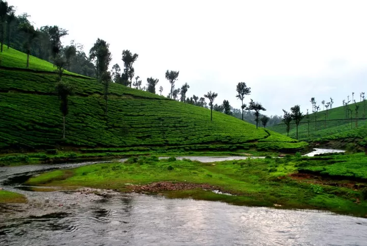 Photo of Koozhangal River - Valparai, Sirikundra Estate Road, Valparai, Tamil Nadu, India by Richa Devi