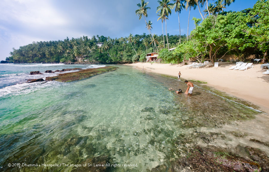 Photo of Surfing, Whale Watching And Swimming With Sea Turtles- A Perfect Sri Lankan Roadtrip by Richa Devi