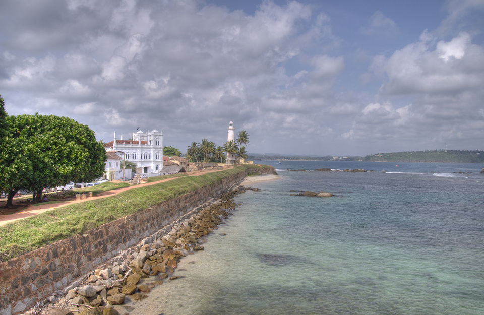 Photo of Surfing, Whale Watching And Swimming With Sea Turtles- A Perfect Sri Lankan Roadtrip by Richa Devi