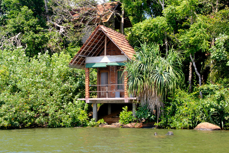 Photo of Mirissa, Southern Province, Sri Lanka by Richa Devi
