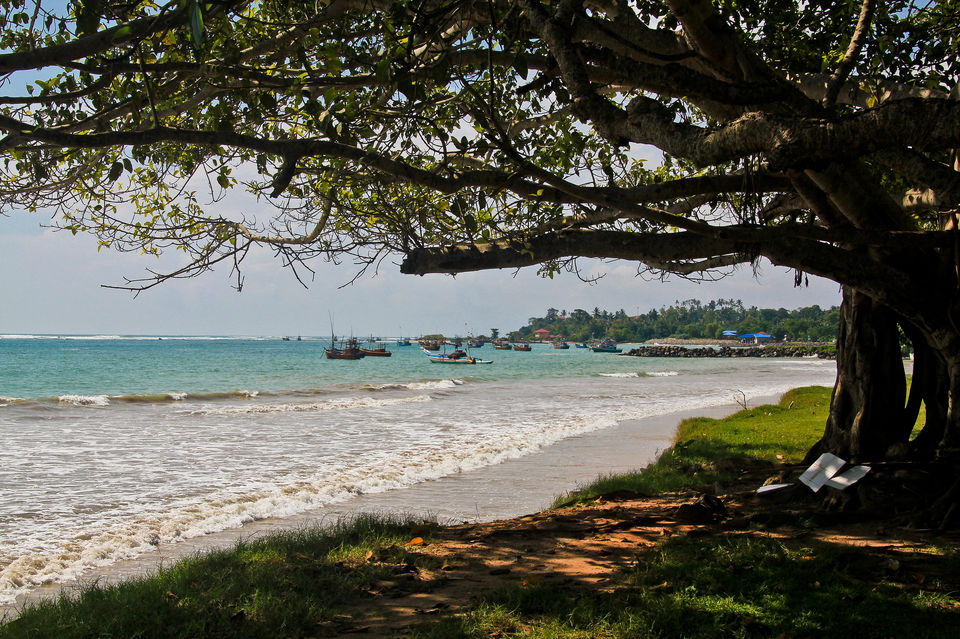 Photo of Surfing, Whale Watching And Swimming With Sea Turtles- A Perfect Sri Lankan Roadtrip 1/2 by Richa Devi