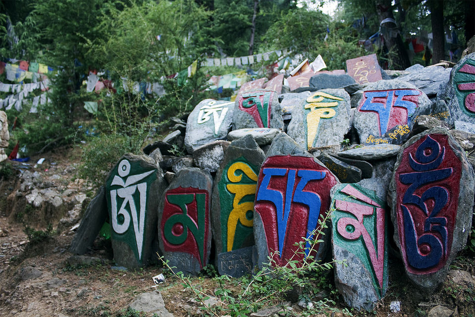 Photo of Dharamkot, Dharamshala, Himachal Pradesh, India by Richa Devi