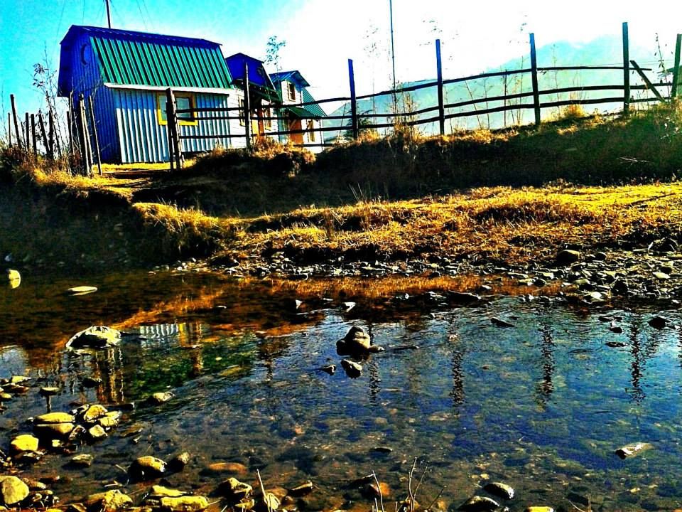 Photo of Maple Pine Farm- An Idyllic Countryside Bed & Breakfast In Mawphlang Village 1/2 by Richa Devi