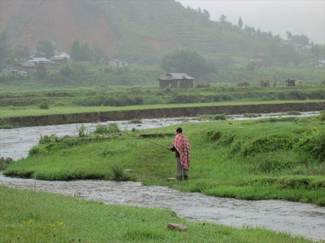 Photo of Maple Pine Farm- An Idyllic Countryside Bed & Breakfast In Mawphlang Village by Richa Devi