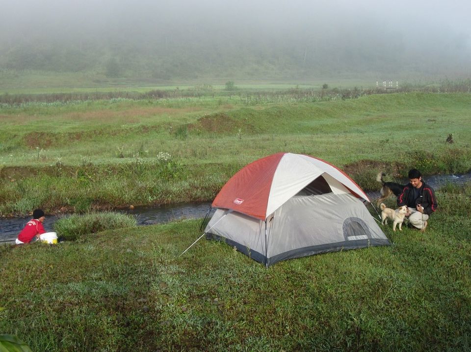 Photo of Maple Pine Farm- An Idyllic Countryside Bed & Breakfast In Mawphlang Village by Richa Devi