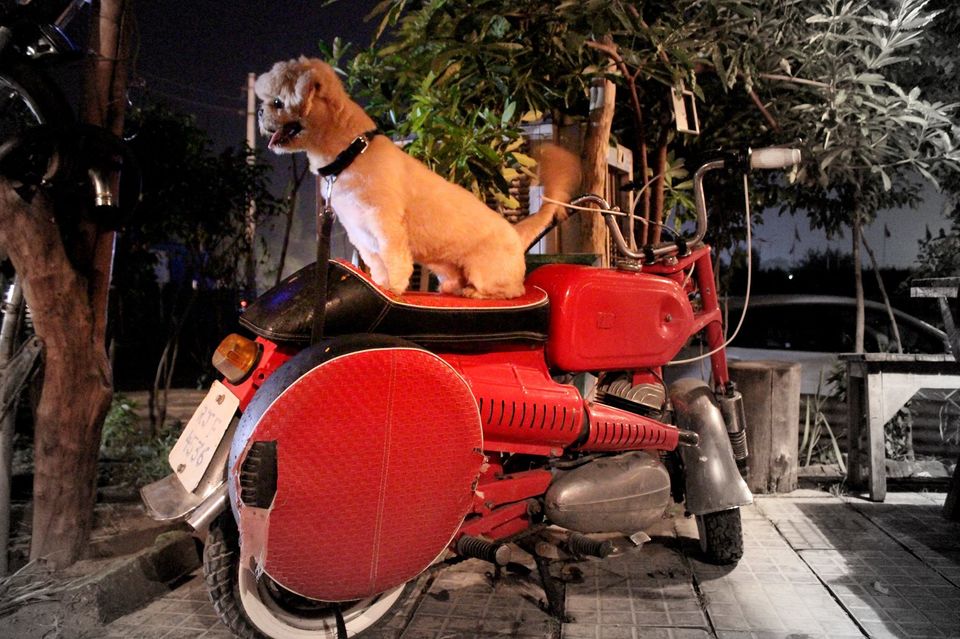 Photo of Ride Around India- Your Guide To The Coolest Biker Cafes In The Country by Richa Devi