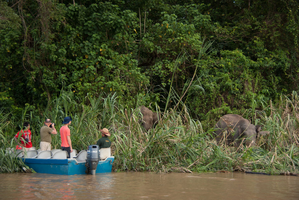 Photo of Kinabatangan Sabah Malaysia by Richa Devi