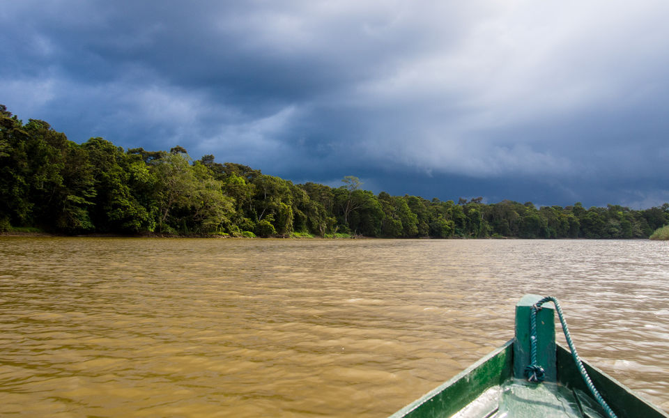 Photo of Land Of Pygmy Elephants And Wild Orangutans- Discover The Lost World of Borneo by Richa Devi