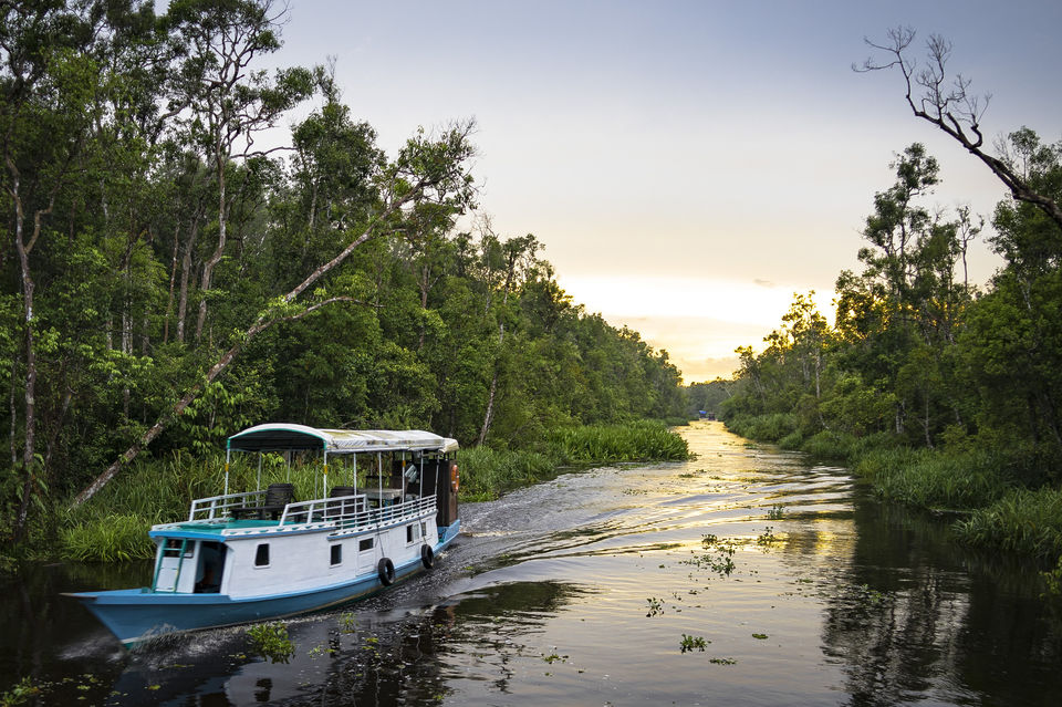 Photo of Land Of Pygmy Elephants And Wild Orangutans- Discover The Lost World of Borneo by Richa Devi