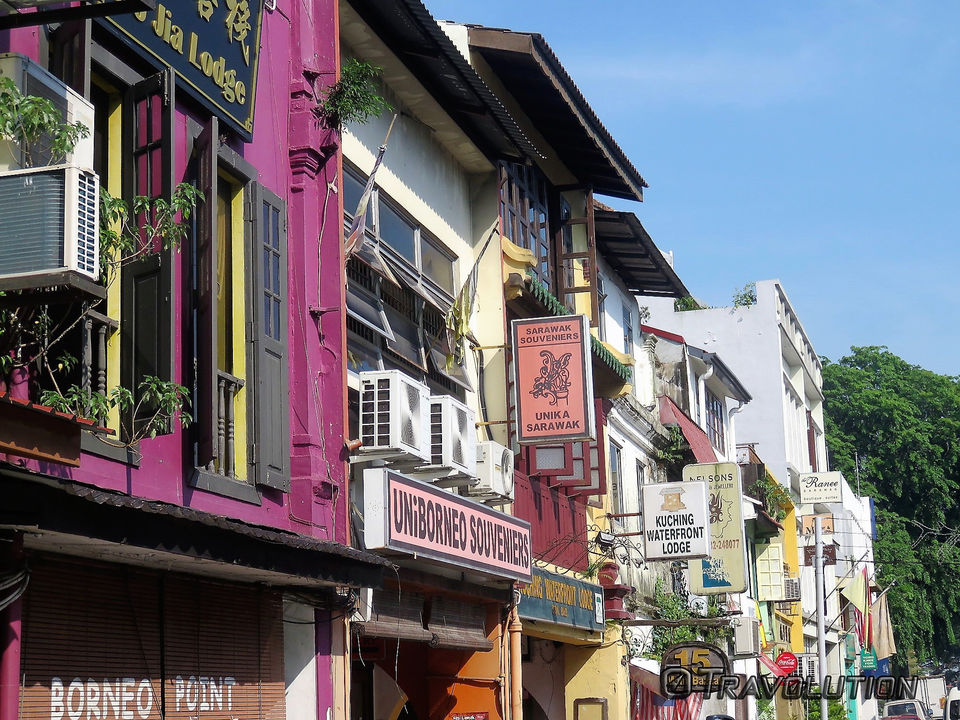 Photo of Land Of Pygmy Elephants And Wild Orangutans- Discover The Lost World of Borneo by Richa Devi