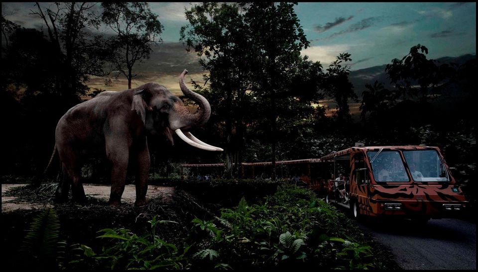 Photo of All You Need To Know About The Night Safari In Singapore by Richa Devi