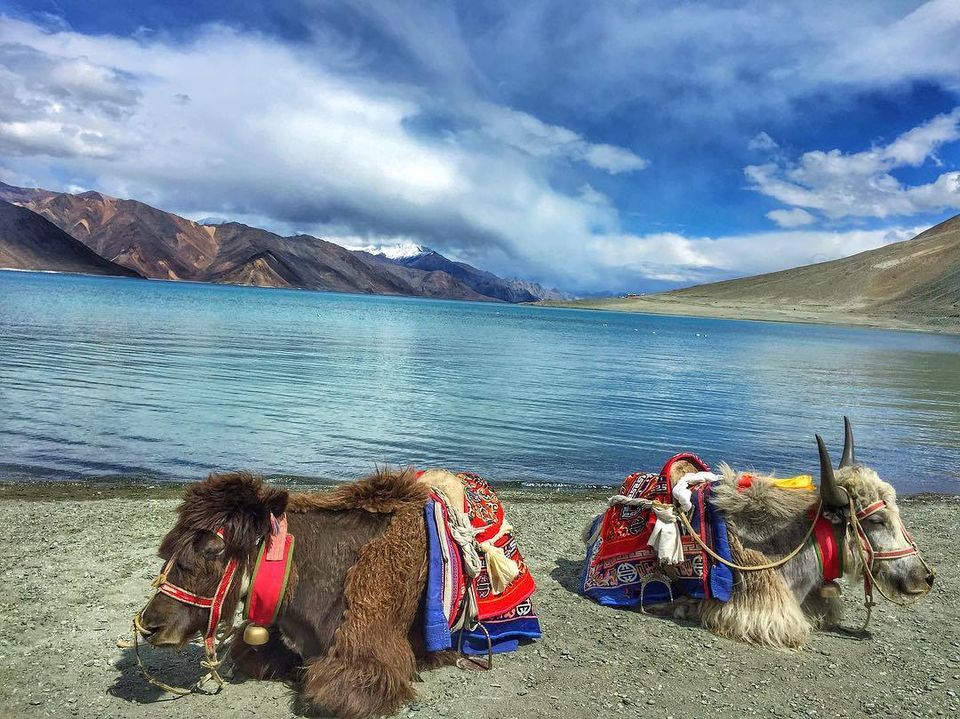Photo of Pangong Tso by Nancy