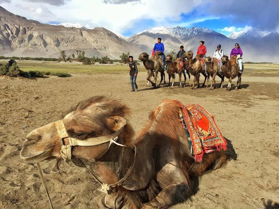 Photo of Nubra Valley by Nancy