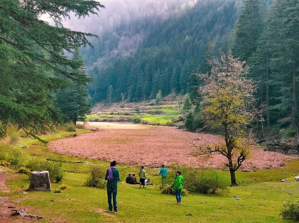 Photo of Forest trails, Wood houses and Beautiful farms- Sainj Valley, Great Himalayan National Park by Nancy