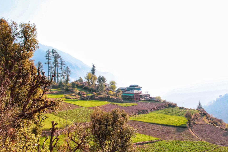 Photo of Forest trails, Wood houses and Beautiful farms- Sainj Valley, Great Himalayan National Park by Nancy